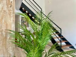 AZORES PEDRA APARTMENTS H